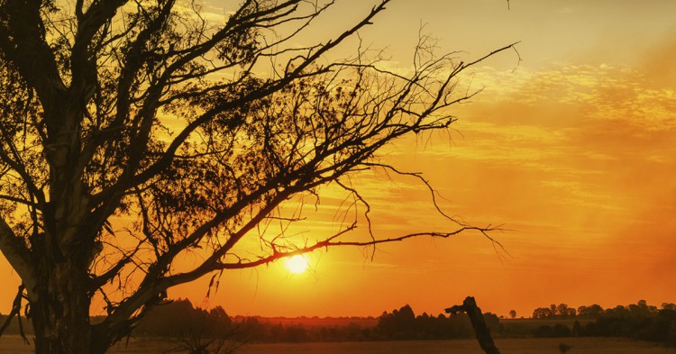 Puesta de Sol en Sudáfrica (Flickr)